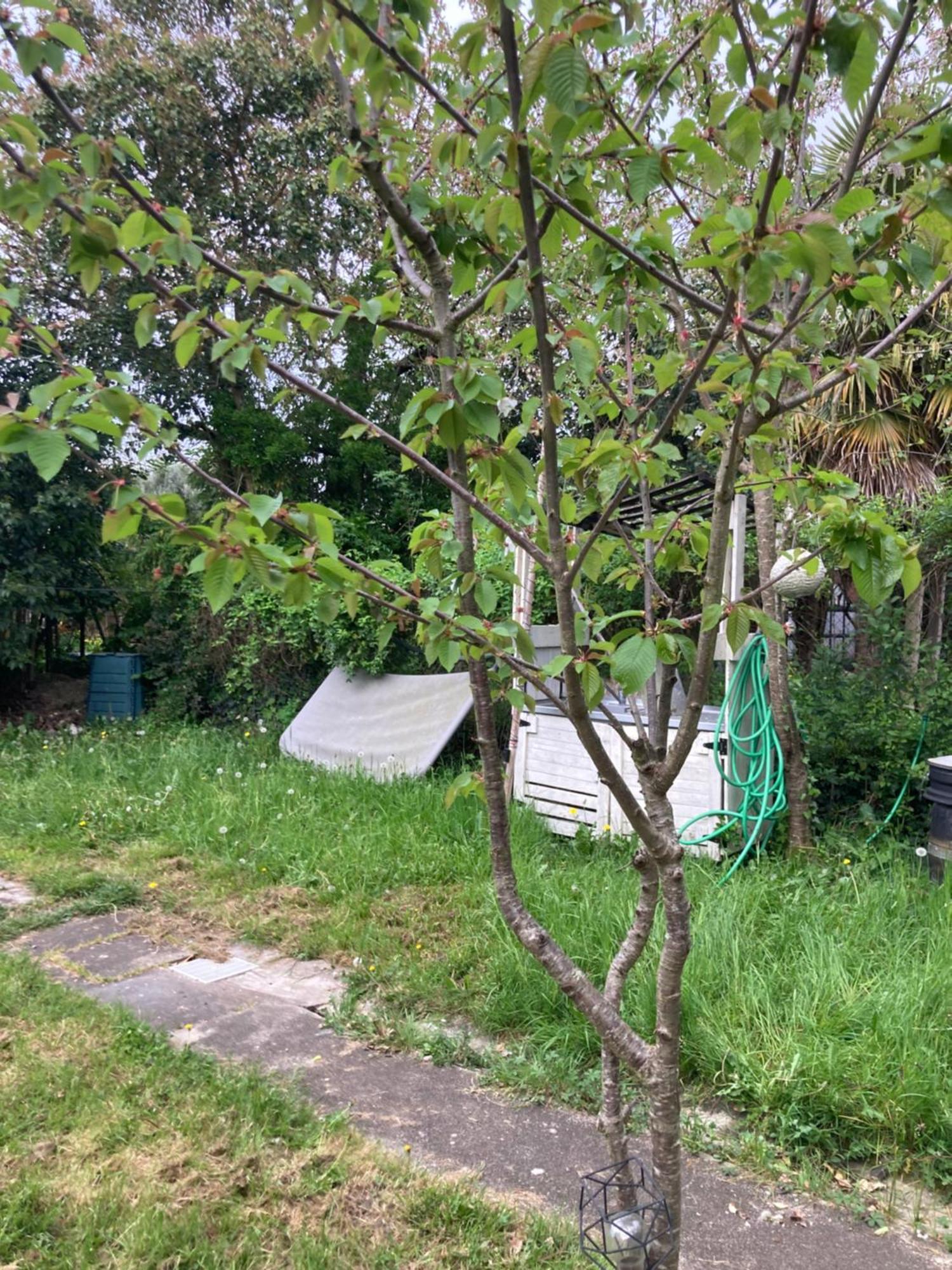 Maison De Campagne A La Ville Villeneuve-sur-Lot Dış mekan fotoğraf